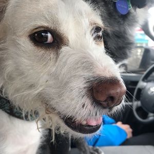 Meet your Posher, Karen